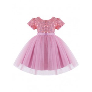 Kids Little Baby Girls Sparkling Sequin Wedding Birthday Party Dress Short Sleeve Fluffy Tulle A-Line Dress