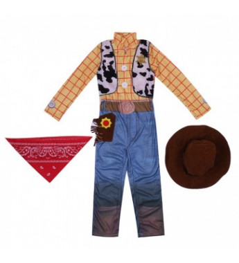 Toy Story Boys Woody Deluxe Costume