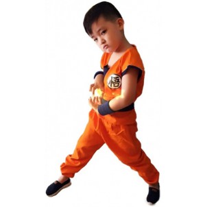 Boys Dragon Ball Z Son Goku Complete Cosplay Halloween Costume