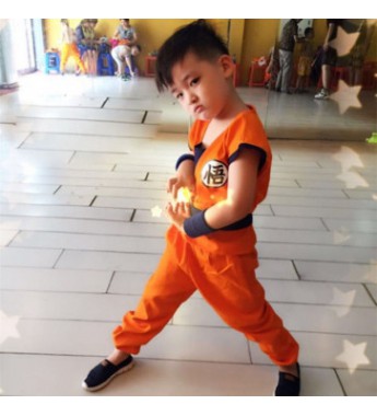 Boys Dragon Ball Z Son Goku Complete Cosplay Halloween Costume