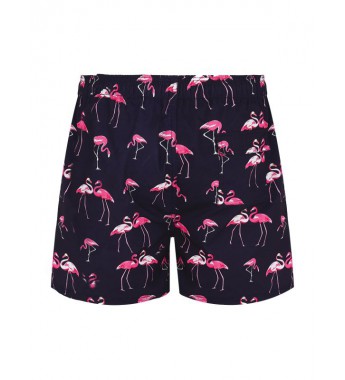 Men Summer Flamingo Prints Swimming Shorts Elastic Waistband with Drawstring Swim Trunks